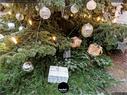 Dateiname=211230_Adventsfunkeln_Rheinfelden_018.jpg
Dateigröße=562KB
Abmessungen: 1199x900
hinzugefügt am: 31. Dezember 2021 211230_Adventsfunkeln_Rheinfelden_018.jpg