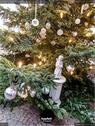 Dateiname=211230_Adventsfunkeln_Rheinfelden_019.jpg
Dateigröße=298KB
Abmessungen: 676x900
hinzugefügt am: 31. Dezember 2021 211230_Adventsfunkeln_Rheinfelden_019.jpg