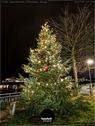 Dateiname=211230_Adventsfunkeln_Rheinfelden_052.jpg
Dateigröße=195KB
Abmessungen: 676x900
hinzugefügt am: 31. Dezember 2021 211230_Adventsfunkeln_Rheinfelden_052.jpg