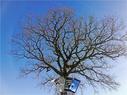 Dateiname=21_HandyPix_017.jpg
Dateigröße=418KB
Abmessungen: 1199x900
hinzugefügt am: 02. Januar 2022 21_HandyPix_017.jpg