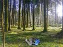 Dateiname=21_HandyPix_041.jpg
Dateigröße=470KB
Abmessungen: 1199x900
hinzugefügt am: 02. Januar 2022 21_HandyPix_041.jpg