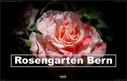 2021_Rosengarten_Bern_001.jpg