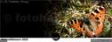Dateiname=21_FB_Titelbilder_004.jpg
Dateigröße=165KB
Abmessungen: 1500x571
hinzugefügt am: 02. Januar 2022 21_FB_Titelbilder_004.jpg