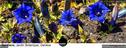 Dateiname=21_FB_Titelbilder_060.jpg
Dateigröße=328KB
Abmessungen: 1500x571
hinzugefügt am: 02. Januar 2022 21_FB_Titelbilder_060.jpg