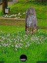 Dateiname=BernEngehalden_05.jpg
Dateigröße=267KB
Abmessungen: 675x900
hinzugefügt am: 10. April 2021 BernEngehalden_05.jpg