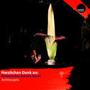 Dateiname=BotanischerGartenUniBasel_fotohaefeli.jpg
Dateigröße=599KB
Abmessungen: 1181x1181
hinzugefügt am: 10. Mai 2020 BotanischerGartenUniBasel_fotohaefeli.jpg