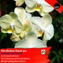 Dateiname=LuzernerGartenJenny_fotohaefeli.jpg
Dateigröße=1408KB
Abmessungen: 1181x1181
hinzugefügt am: 10. Mai 2020 LuzernerGartenJenny_fotohaefeli.jpg
