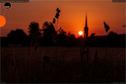 Dateiname=190628_Rise_Banfeld_Aarwangen_21.jpg
Dateigröße=96KB
Abmessungen: 1349x900
hinzugefügt am: 14. Januar 2020 190628_Rise_Banfeld_Aarwangen_21.jpg