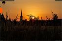 Dateiname=190628_Rise_Banfeld_Aarwangen_27.jpg
Dateigröße=156KB
Abmessungen: 1349x900
hinzugefügt am: 14. Januar 2020 190628_Rise_Banfeld_Aarwangen_27.jpg