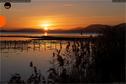 Dateiname=191210_Set_CoudfrefinLacNeuchatel_59.jpg
Dateigröße=194KB
Abmessungen: 1349x900
hinzugefügt am: 14. Januar 2020 191210_Set_CoudfrefinLacNeuchatel_59.jpg