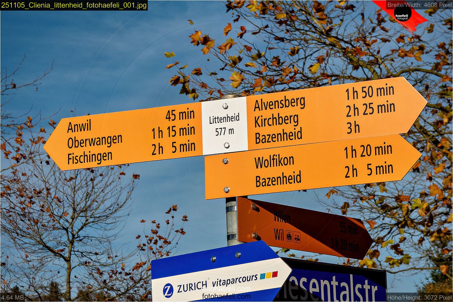 mural, streetart, annemasse, grafitti, grafitto