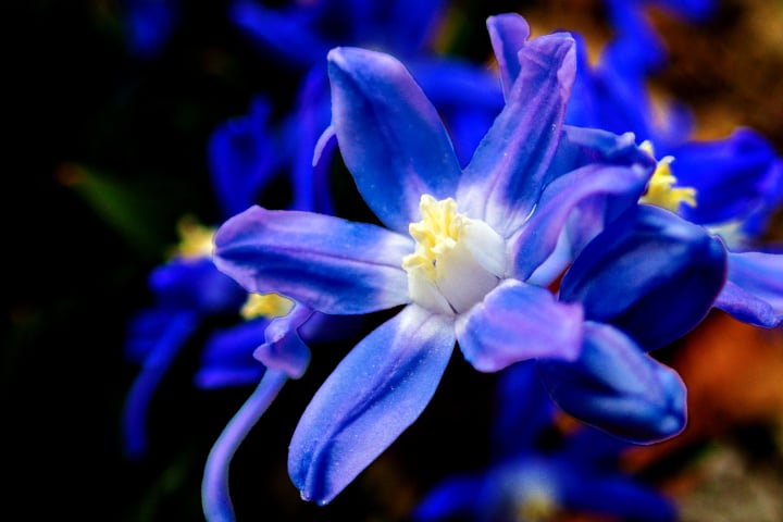 botanischer garten neuenburg, jardin botanique neuchatel, fotohaefeli, botanical garden neuch