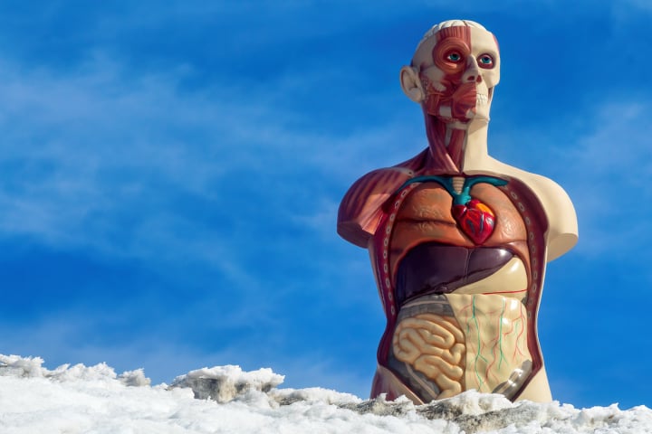 damienHirst, stmoritz, kunst, fotohaefeli, mentalEscapeology