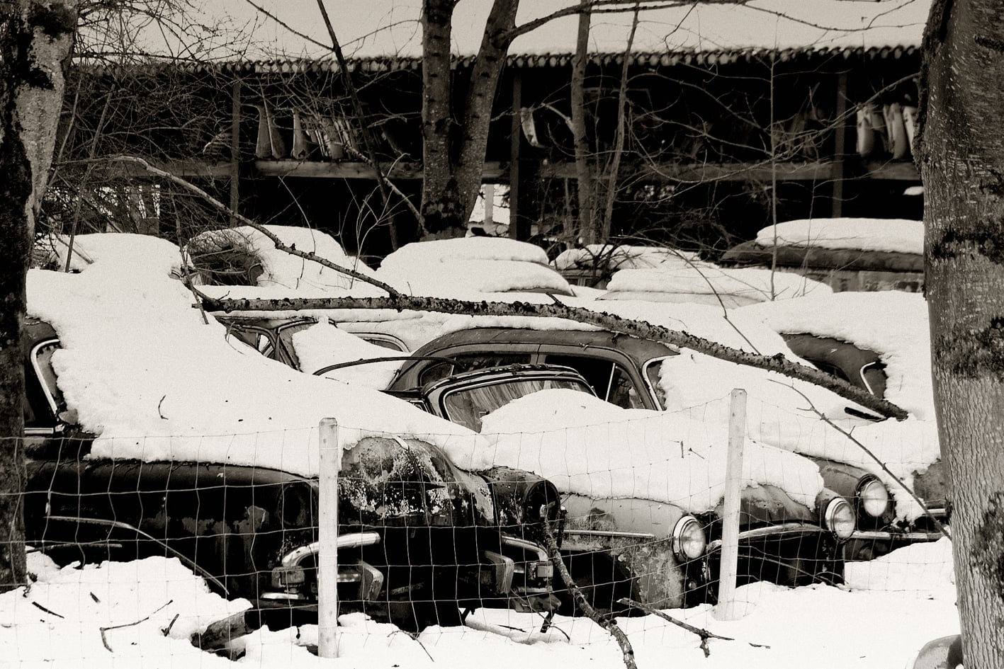 autofriedhof kaufdorf, messerli, kaufdorf, fotohaefeli