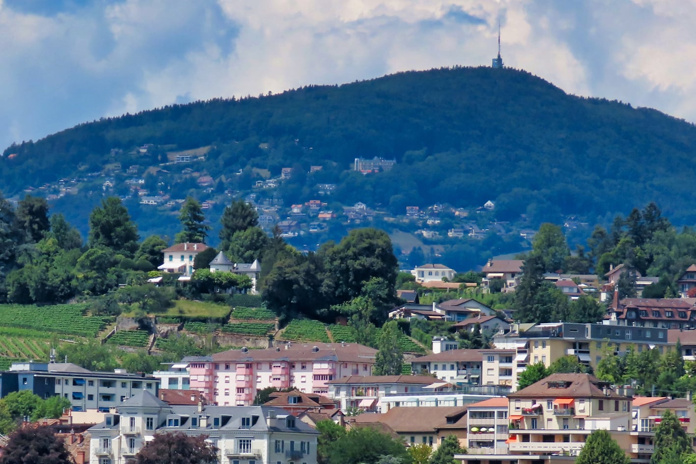 montpellerin, fotohaefeli