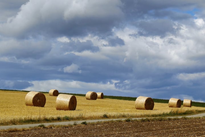 natur, Jahreszeiten, 4seasons, Frühling, sommer, herbst, winter, fotohaefeli