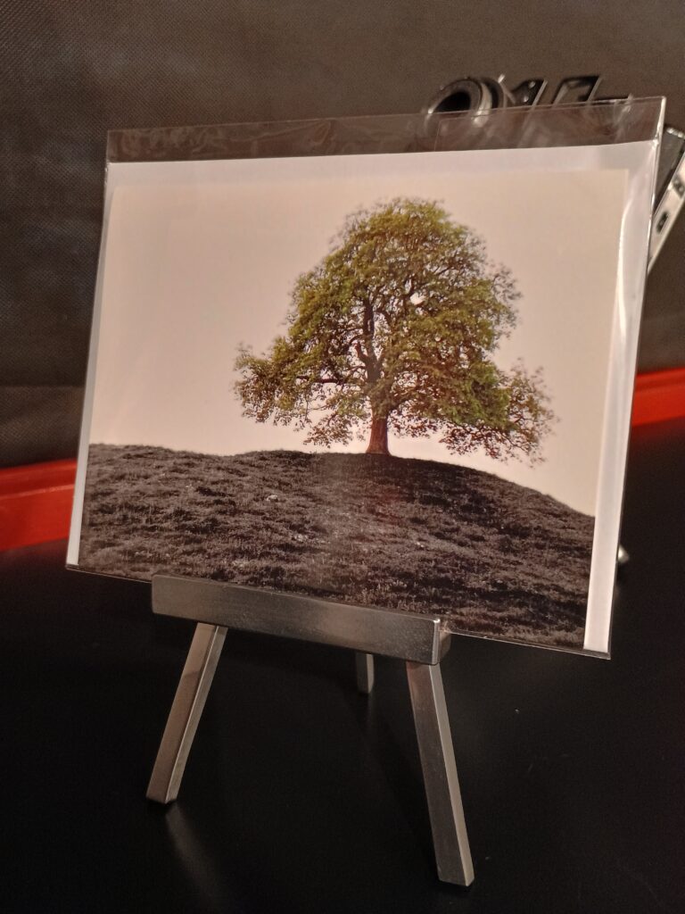 schreibkarte fotohaefeli baum tree