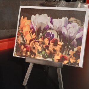 Frühlings Schreibkarte mit Krokus und Stiefmüetterli, Blumen, fotohaefeli