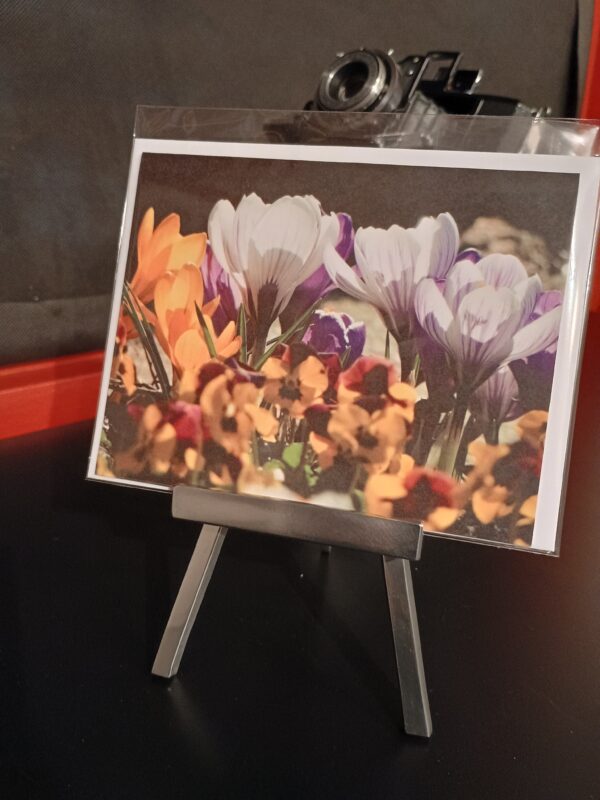 Frühlings Schreibkarte mit Krokus und Stiefmüetterli, Blumen, fotohaefeli