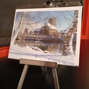 Schloss und Aarebrücke Aarwangen im Winter