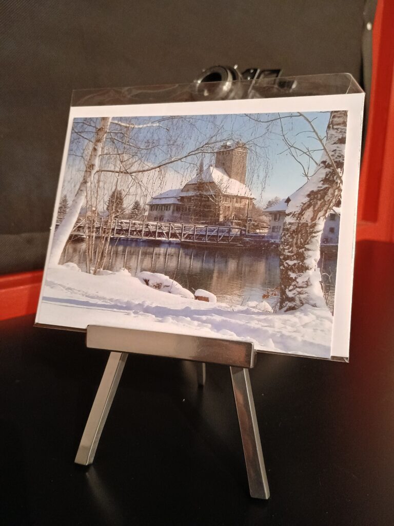 Schloss und Aarebrücke Aarwangen im Winter