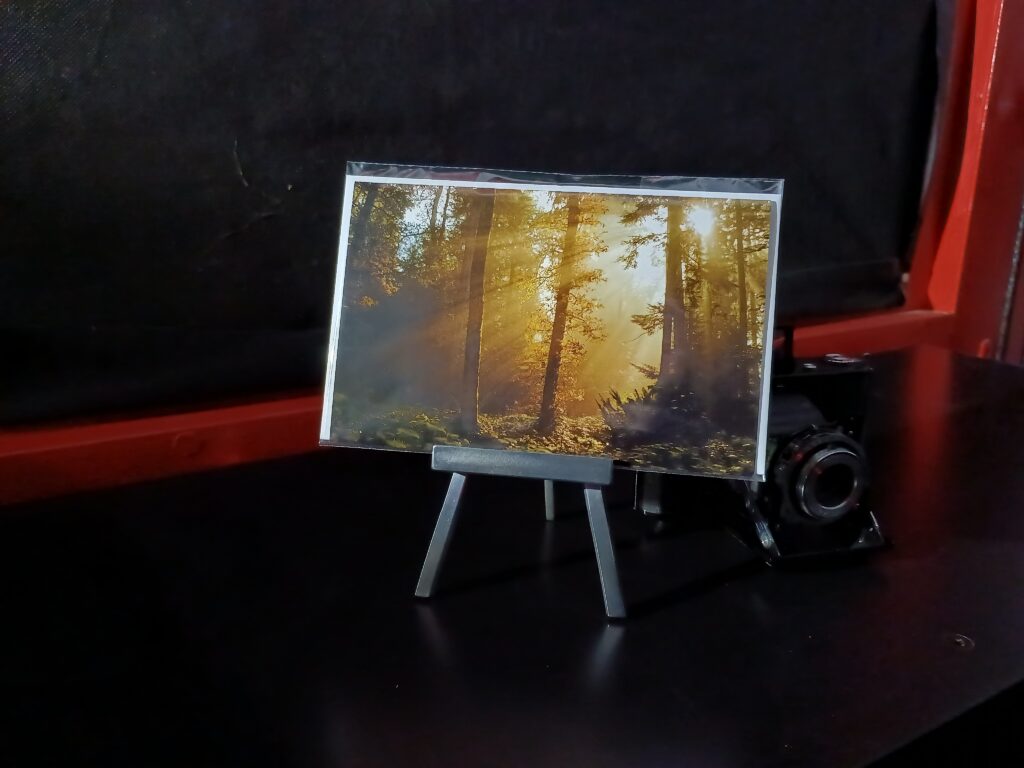 Waldlichtung mit sonnenstrahlen