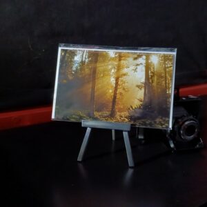 Waldlichtung mit sonnenstrahlen