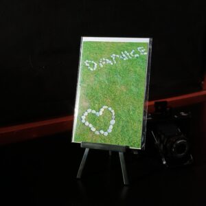 Danke, thankyou,merci, grazie