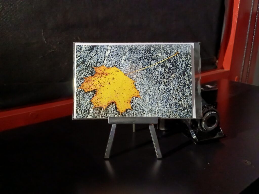 Herbststimmung mit Ahornblatt auf Tessiner Gneis