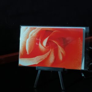 herz einer roten rose