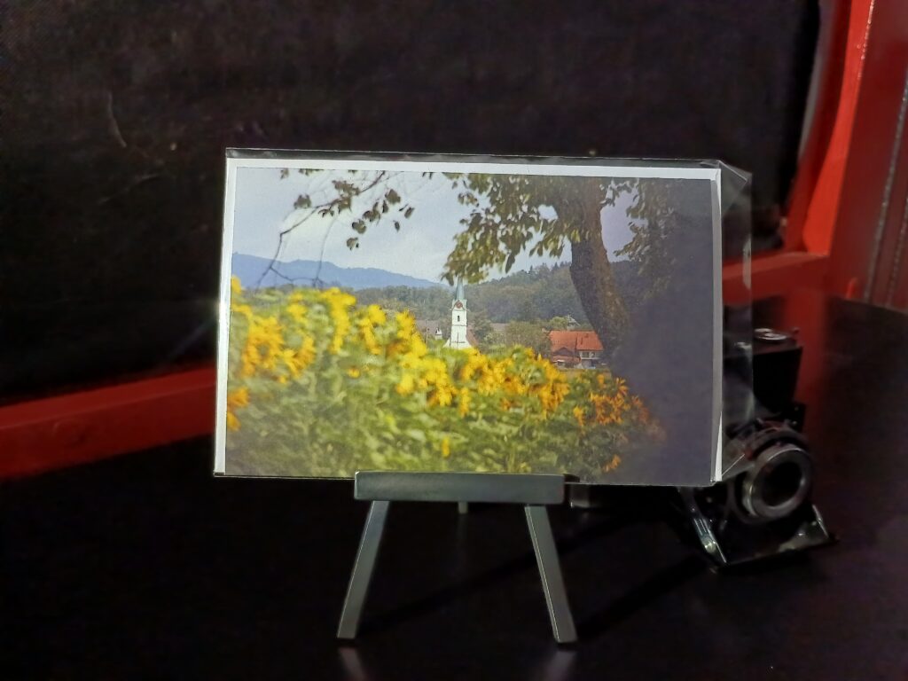 Aarwangen im Sommer mit Sonnenblumen und Kirche