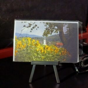 Aarwangen im Sommer mit Sonnenblumen und Kirche