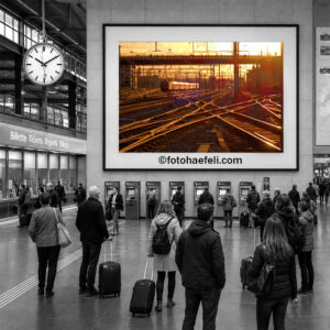 SBB CFF FFS, Gleisanlage Hauptbahnhof Zürich Schweiz